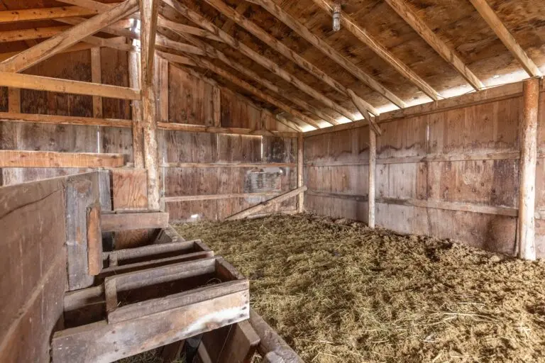 16_23691586-0ce8-4283-8d73-238ceadb8583