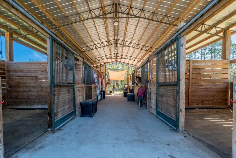 16242 NW 130th St, Williston, FL 32696