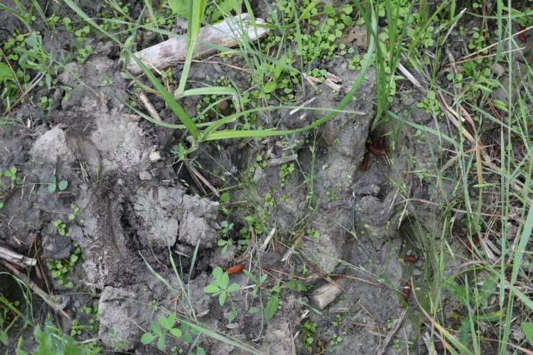 16_2a3062ce-79e1-4fdf-8c56-633c7354c21b