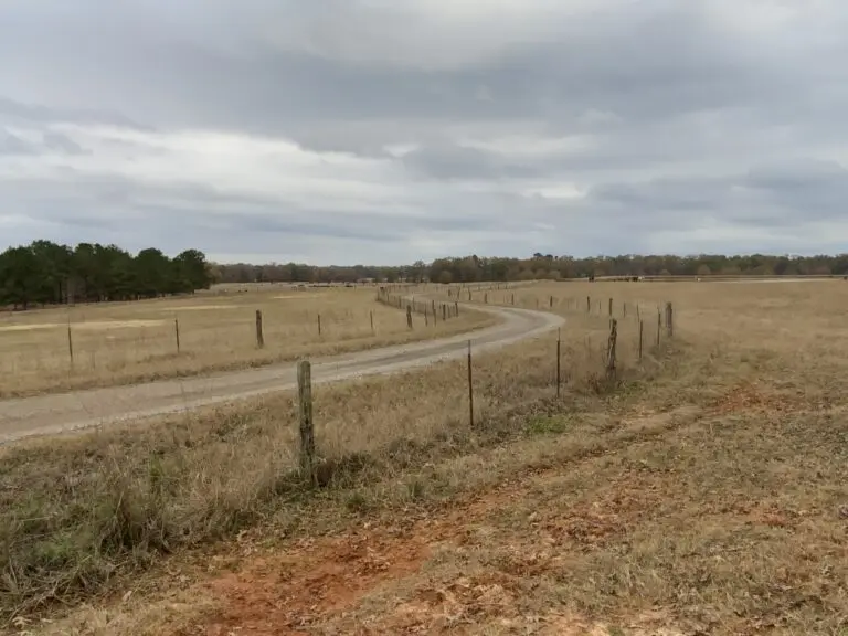 16_fbbfce74-2a63-4281-a7aa-5153a90ff61b