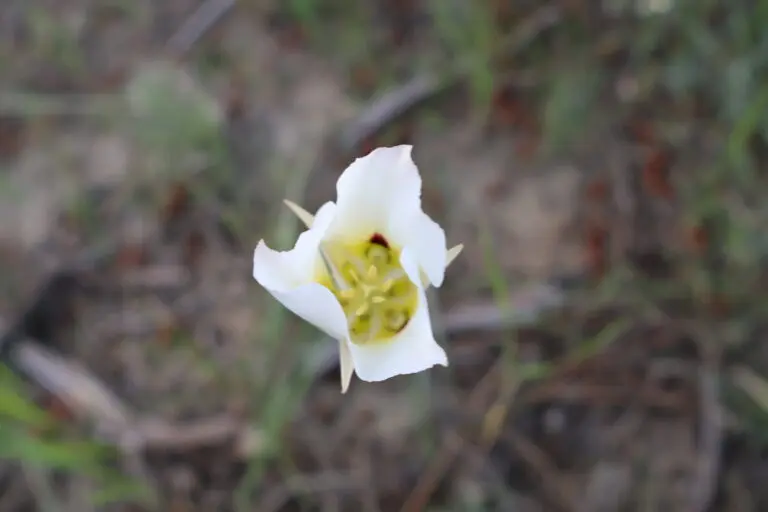 17_4c72652f-625e-42f0-8c89-761242dd649f