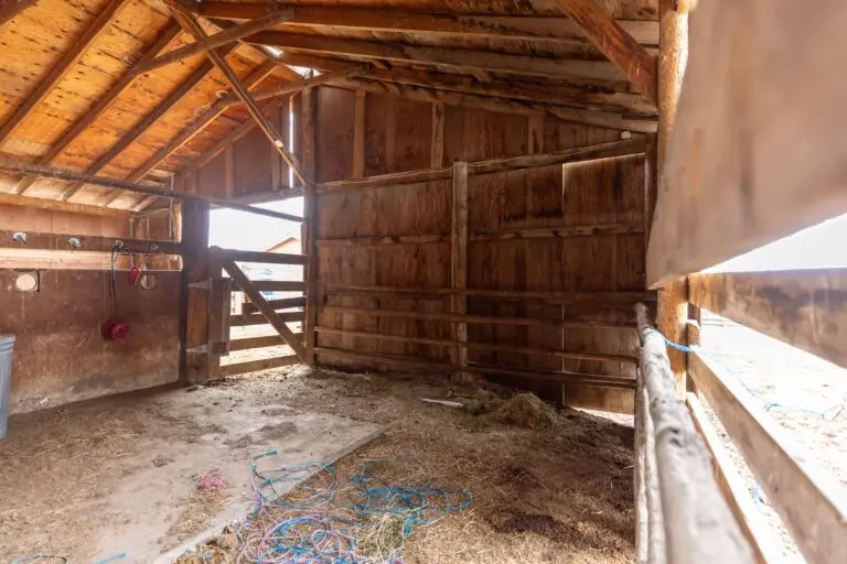 17_ce1d8085-53a4-42da-a32f-a2bcea57ec98