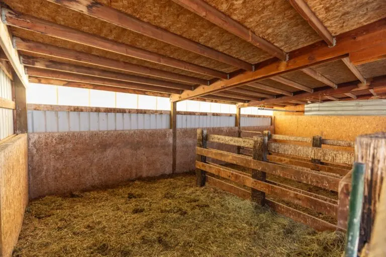 18_3a04c352-2265-49da-ad26-a795e7fe6dd4