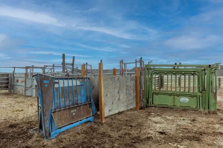 18_e94e921f-c00d-4ea1-9530-f938645487d2