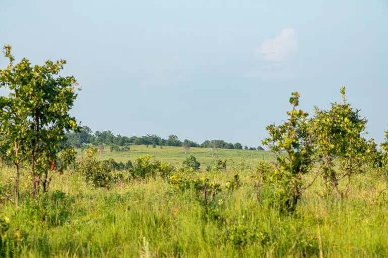 18_f43d4d5f-582e-4eaf-8939-9917a11f906d