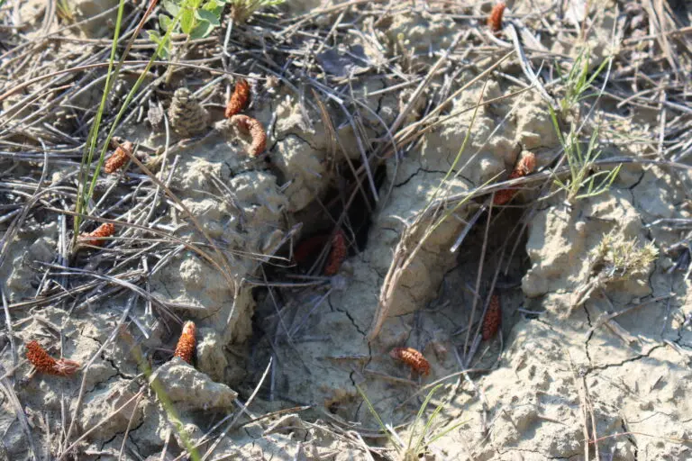 19_a777dc4d-2f4f-4eda-b065-9953f3c030bc