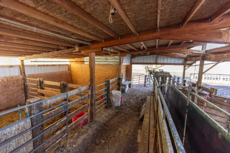 19_a87b4647-c1ec-4615-a194-cc76749dd22a