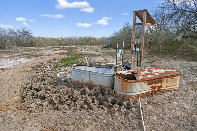 19_b0b5cb69-4eb1-4188-8380-a63c13695f66