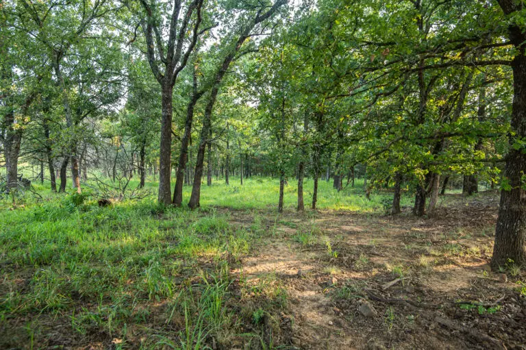 19_cd18c761-c6d1-47f2-9b43-584eda715120