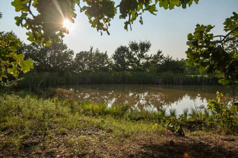 20_0cb5470e-2fde-4d9d-824d-182405b75951