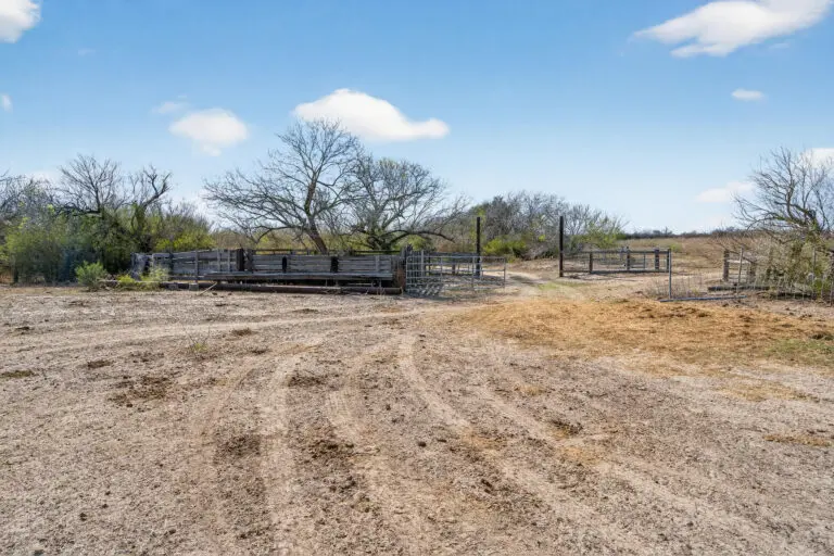 20_3dd7ccf5-53a8-45fa-9726-005141795444