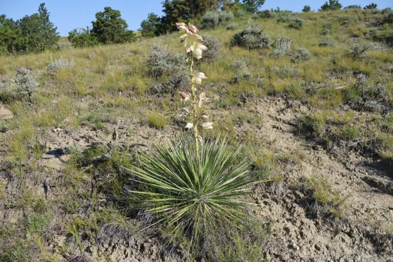 20_f43a46a6-5fee-49ba-8ed7-b7f562c0f071