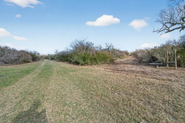 21_118a36ff-83c7-4836-a2d0-ed25b3ea88d5