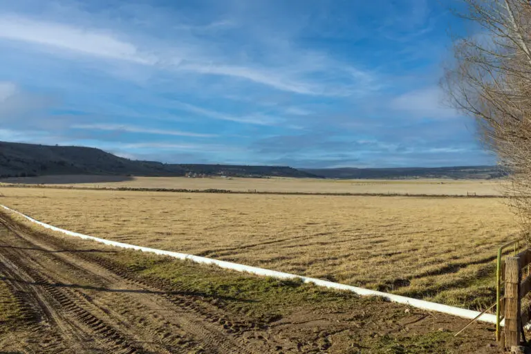 21_766e0b7f-1c2c-470a-ab6d-7b170eaf22b0