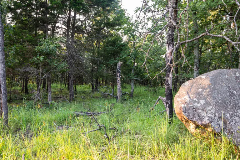 21_e1f9e1de-b69c-44b3-a3a7-f6d26cc301e2