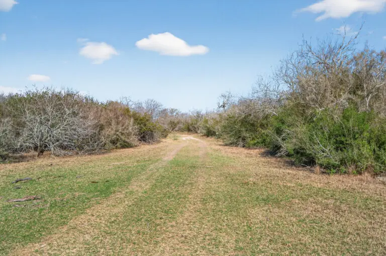 22_8d168507-c1b9-4b20-8c5a-c1a800e0db06