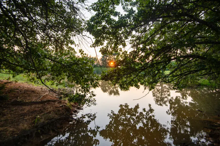 22_cc1c2b3a-d8c1-43bb-91aa-9d497e10bd24