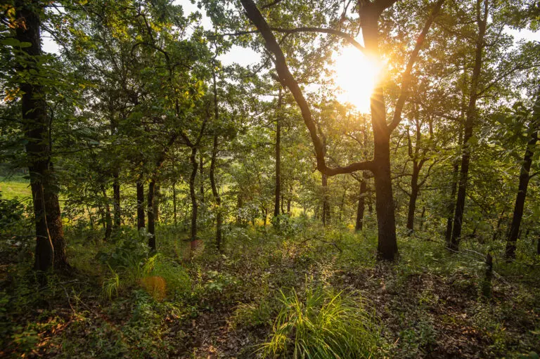 23_592df1e8-3c1f-49b8-b226-3fbabf898f39