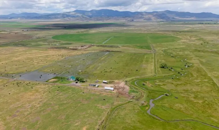 Colorado Cattle Ranch for Sale