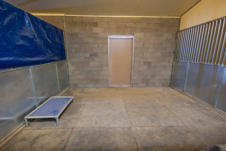 23_c216c2b1-81b7-4e1f-95ee-b5c4a2e65a0d