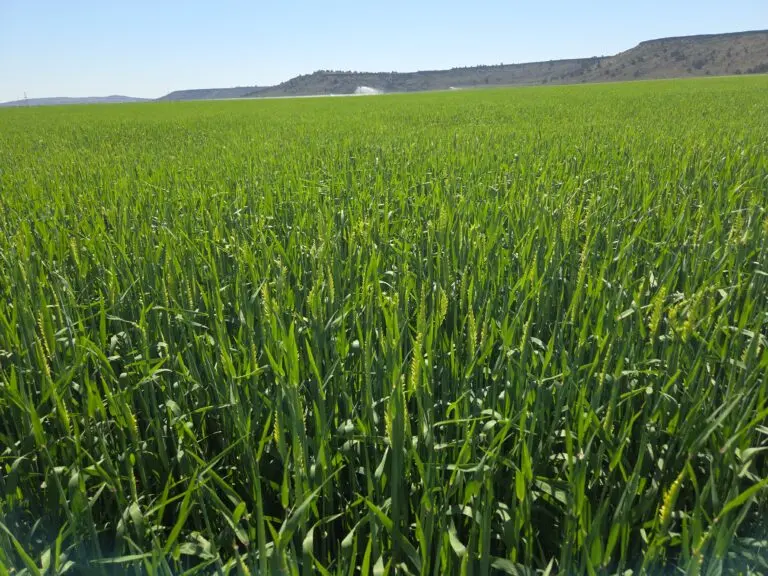 24_164d493b-fc38-4144-bda2-a011c4c2805e