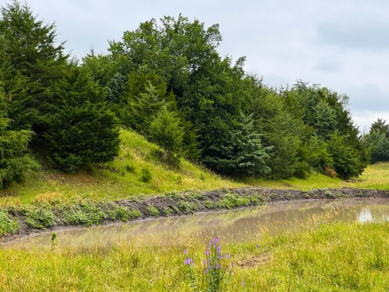 24_942f4700-94cd-4a7f-9655-09ee7547b412