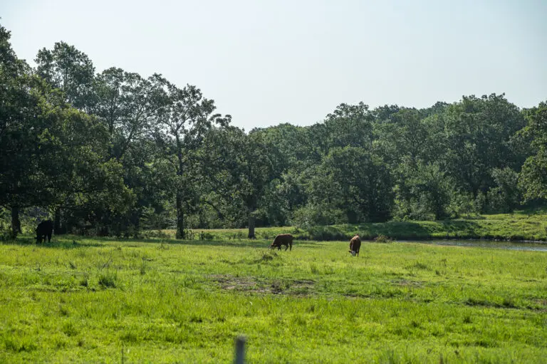 25_08d77974-b132-4c08-a8f2-febc45c09af9