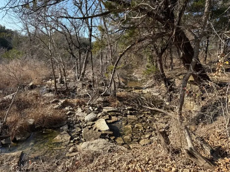 25_f77fe987-cd9c-4dd3-bb9b-de8089d110c8