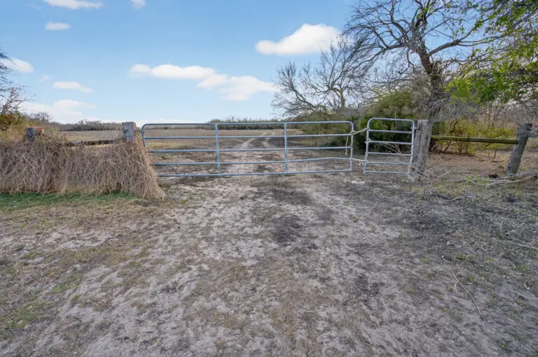 26_21ea686b-39f8-4e0c-85fe-8ab5d4ce4bea