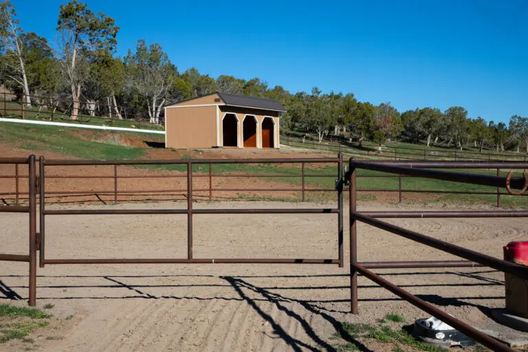 26_d8033651-650e-49ee-89c9-2f887b786832