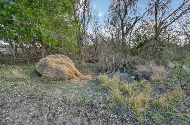 27_3e848609-88dd-4a6f-bdc5-50ed09b57726