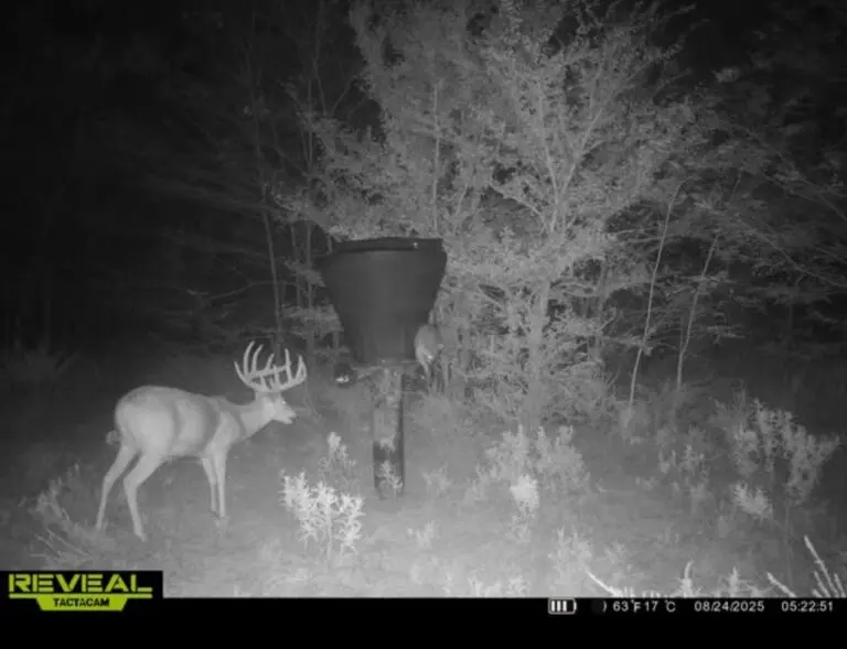 27_b150653a-b1ab-4911-b1c7-6df0ee614c79