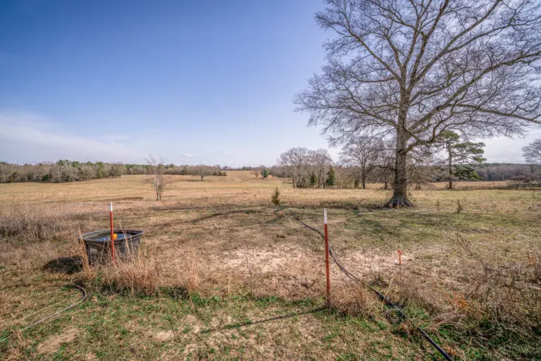 29_196872d2-1975-4110-bb46-df94687c5bfb