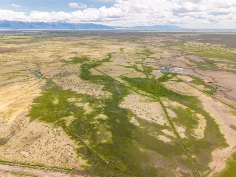 Colorado Cattle Ranch for Sale