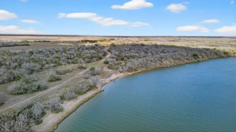 29_30ab912a-892c-4744-8e81-98acc9a5ea93