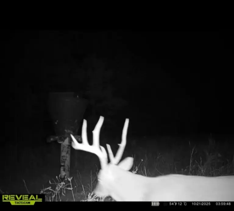 29_d75fd209-c14d-4125-86fe-802700ede057