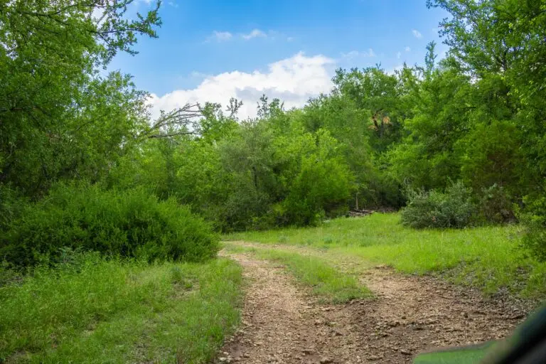 30_369ab399-1e0c-40ad-9b84-c00b87e40c23