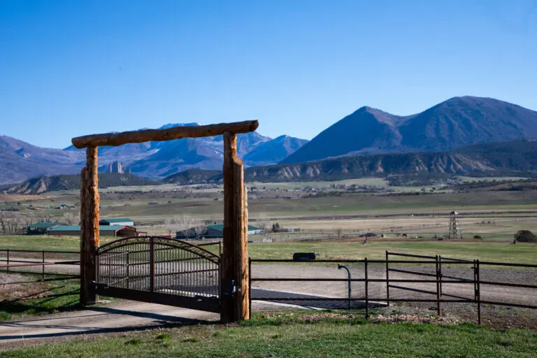 30_567100b1-9253-4391-83da-90bf368b1e48