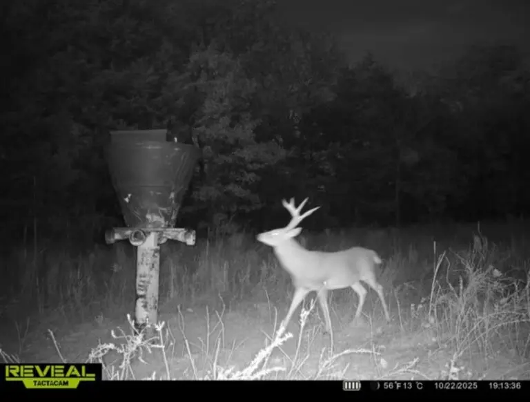 30_95fb39f3-06ac-4efa-a8e8-79d14bee90b9