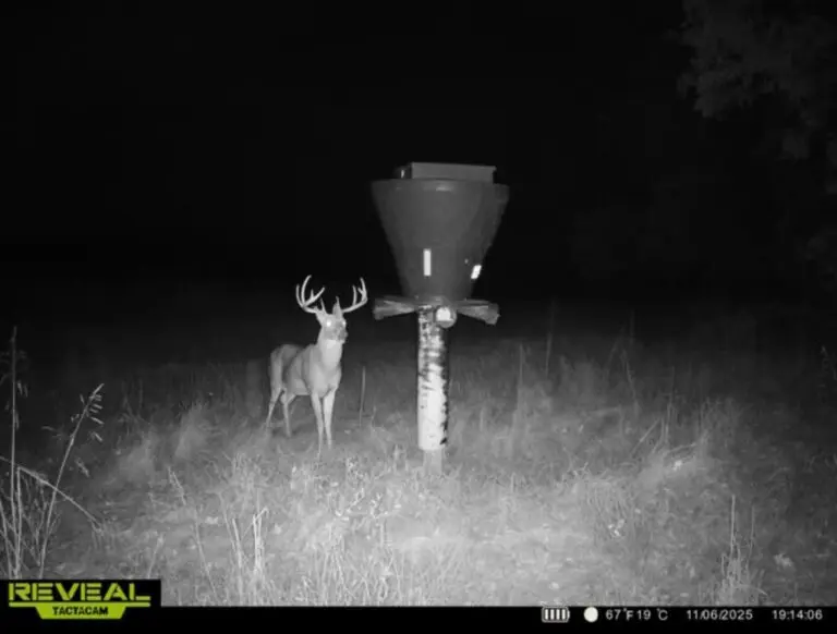 31_710afe49-8f6a-4d0b-87ff-0e368e9bd495