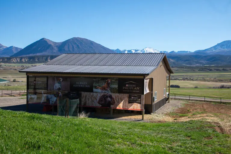 31_92b46809-b498-4d11-9d71-df71930d1a89