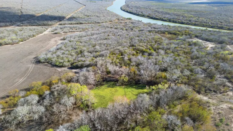 31_e915368d-24bd-4aee-82ab-a4c099b7cdea