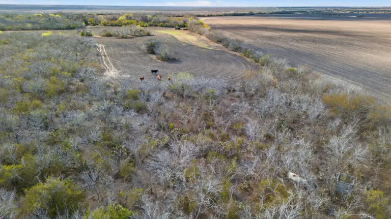 32_54dad317-5873-4b5b-a429-b9fe341fe5b9