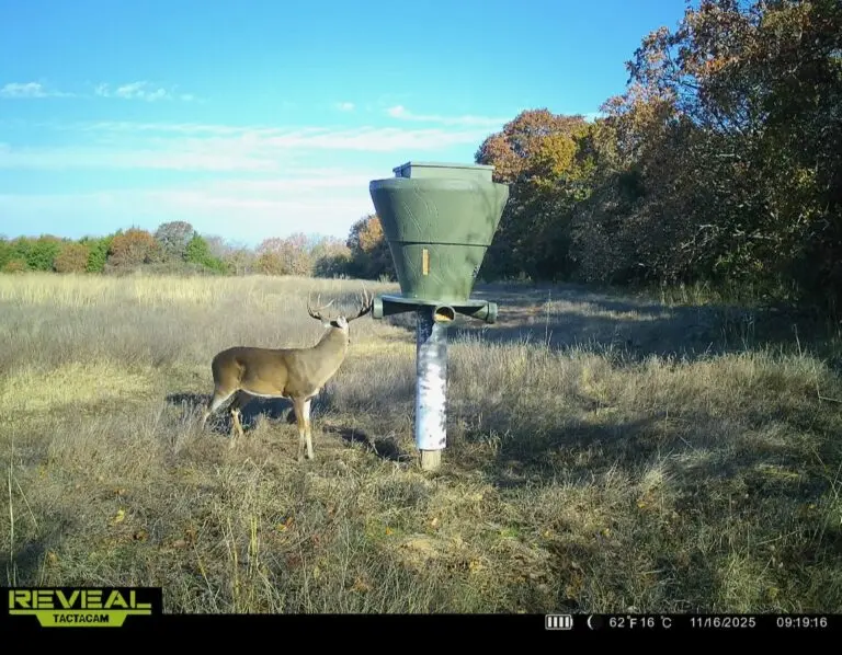 33_2dfcba87-ce5f-4806-8549-02eb60b5e0dc