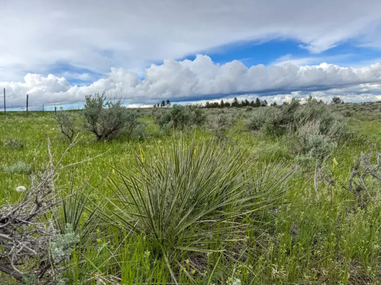 33_48d7af15-1355-4b30-8a6f-c83271577433