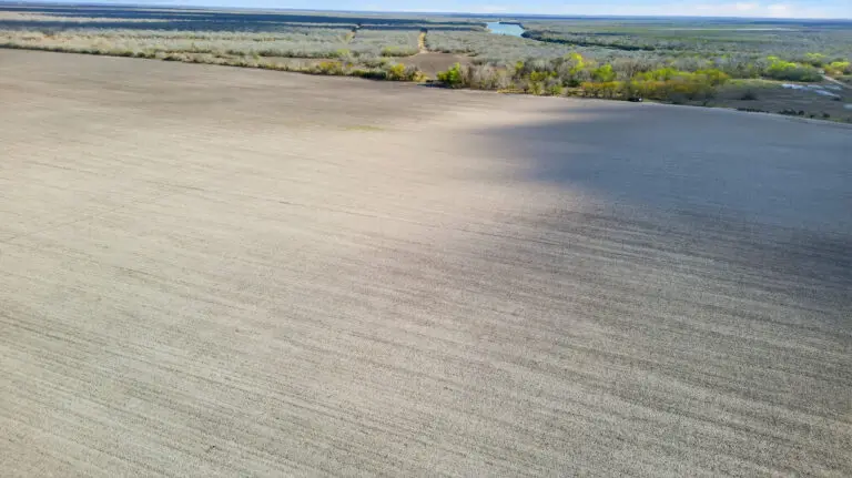 33_70c7e516-a8ef-4aa6-9723-f642d02748db