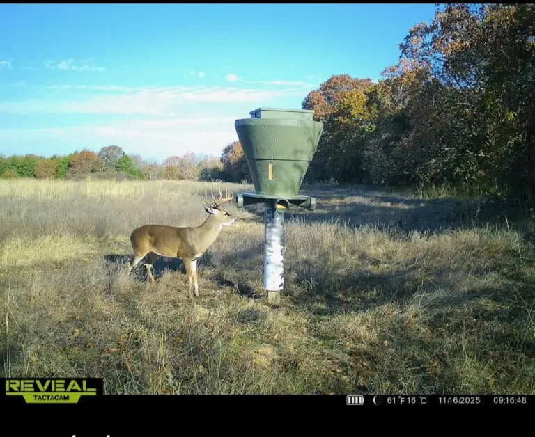 34_4f4adbeb-ebb2-4032-8752-9a8376dd3bb1