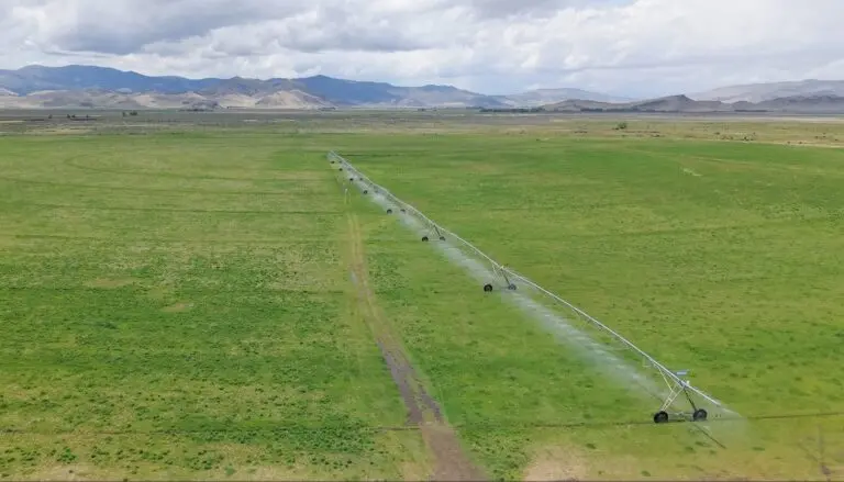 Colorado Cattle Ranch for Sale