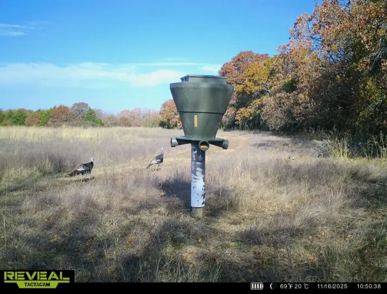 36_22f4d486-9adf-423e-bbca-c61b4f9331ff