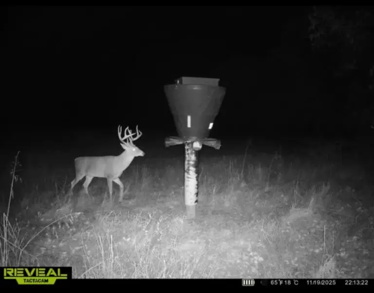 38_688c784f-be3d-4f55-a1a8-865d00dc0a81